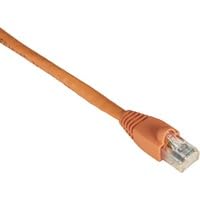 Black Box CAT6 550MHZ STR UTP PVC SNG OR 1FT