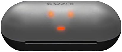 Sony WF-C500 True Wireless Headphones - Up to 20 Hours Battery - Charging case - Voice Assistant Compatible - Built-in mic for Phone Calls - Reliable…