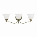 Livex Lighting 1353-01 Essex Bath Light