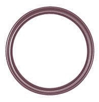 52mm Multi-Coated UV Protective Filter for Nikon 18-55mm f/3.5-5.6G ED AF-S DX Nikkor Zoom Lens + Microfiber Cleaning Cloth