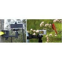 Makaw Video Perch Camera Mount Clamp with Ballhead and Quick Release for Digital Cameras, Camcorders & Spotting Scopes