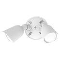 WAC Lighting, Endurance Double Spot Energy Star 30W LED Spot Light 3000K in White