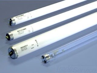 Sylvania 21486 F14T8/Cw Fluorescent Lamp(P)