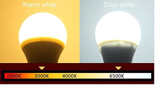KONPWAY 12V Low Voltage LED Light Bulbs - Daylight 7W(Only for 12-36V), Pack of 2