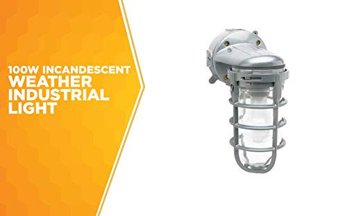 Woods L1707SV Traditional 150W Incandescent Weather Industrial Light, Wall Mount, Silver,Large
