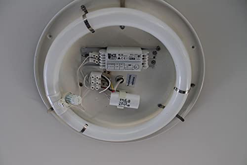 Sylvania 20148 - FC8T9/CW TUFFCOAT SYLVANIA BRAND Circular T9 Fluorescent Tube Light Bulb (8" diameter, 22 watts)