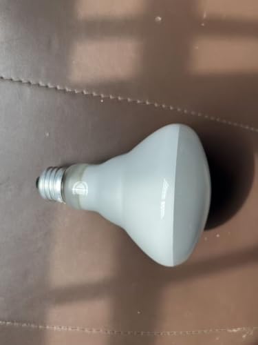FMLAD BR30 65W Flood Incandescent Light Bulbs E26 Base (2-Pack)