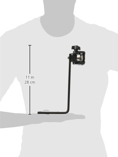 Manfrotto 356 Wall Mount Camera Support with 234 Swivel Tilt Head (#3277), for Security and Surveillance Cameras
