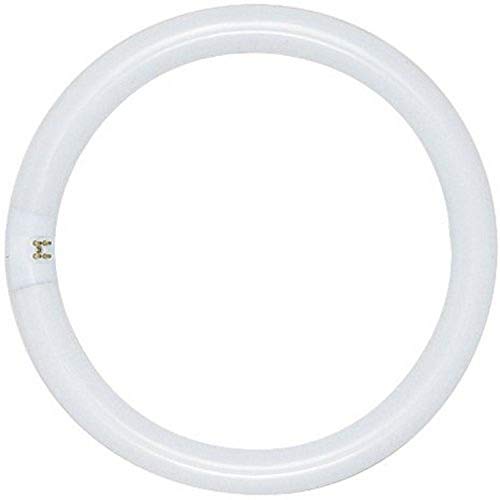 Satco S6506 4100K 40-Watt 4 Pin T9 Circline Lamp, Cool White