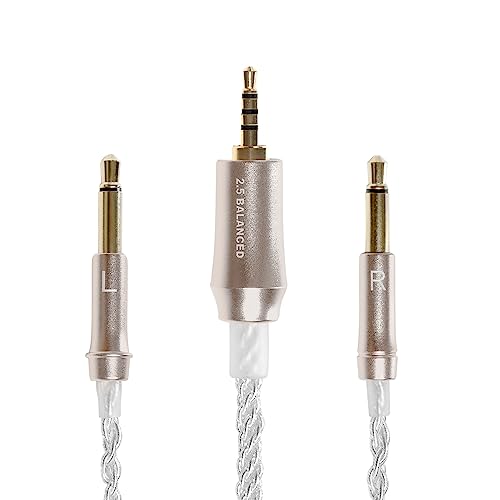 MEZE AUDIO | 99 Series Silver Plated Upgrade Balanced 2.5mm Jack | Headphones HiFi Replacement 2.5mm Male to Dual TS Mono 3.5mm Male Connector Plug…