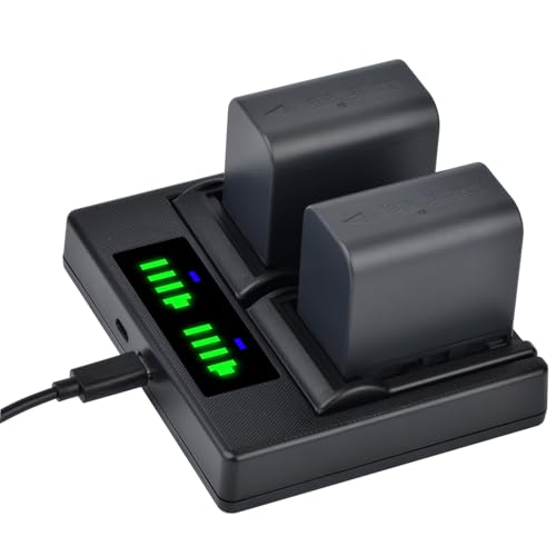 Batmax 2Pcs 3000mAh BN-VF823 Battery + Quick LED USB Charger with Type C Port for JVC BN-VF823 BN-VF823U Everio GZ-MG130 148 150 155 175 255 2GZ-HD7