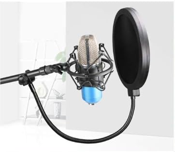 HORNO Professional Microphone Filter Screen-Mic Pop Blocker Mask Shield Screen with Flexible Gooseneck Mount