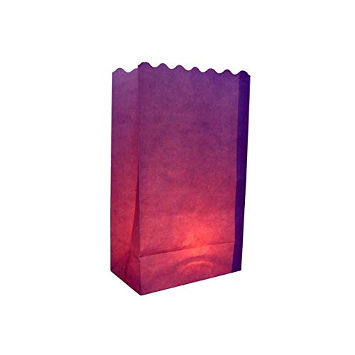 Quasimoon PaperLanternStore.com Purple Paper Luminaries/Luminary Lantern Bags Path Lighting (10 Pack)