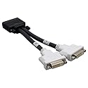 Cable Leader 8in DMS-59 to DVI-I Dual Link Splitter Cable