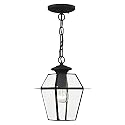Livex Lighting 2183-04 Westover 1-Light Outdoor Hanging Lantern, Black