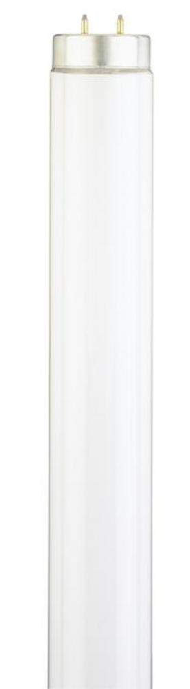 Westinghouse Lighting 0765000 Corp 30-watt Fluorescent Light Bulb, Cool White