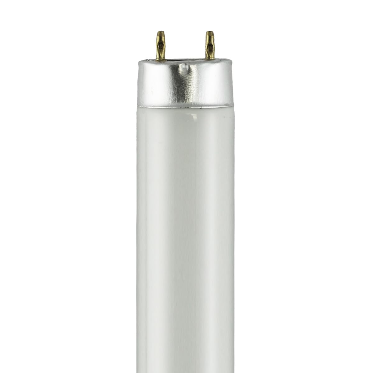 Norman Lamps F10T8-CW - Watts: 10W, Color Temperature: 4200K (Cool White)
