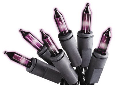 Sylvania V34708-88 100-Count Purple (Not Dark Purple Slightly Pinkish) Halloween Lights Set with Black Wire