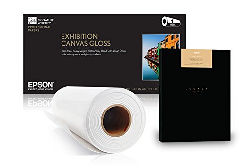 Epson Epson DS Transfer Production