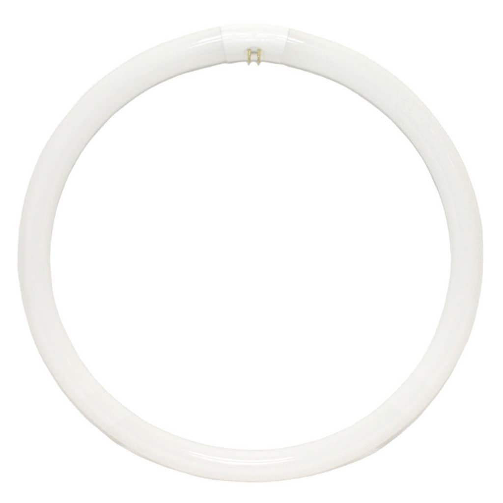 Westinghouse Lighting Corp 06030 16-Inch 40-watt CW Ring, Fluorescent