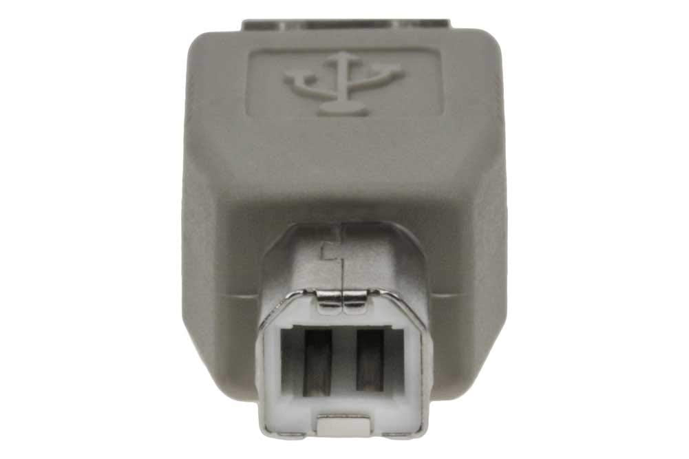 USB A Female to B Male Adapter - Beige