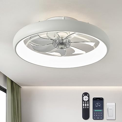 LUDOMIDE Ceiling Fans with Lights and Remote, 20'' Low Profile Flush Mount, 6 Wind Speeds, Modern Dimmable LED Ceiling Fan, Smart Ceiling Fan