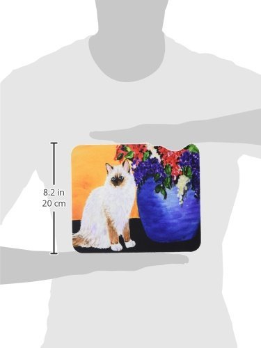 Caroline's Treasures SS8604MP Cat - Ragdoll Mouse pad, hot pad, or Trivet, Large, Multicolor