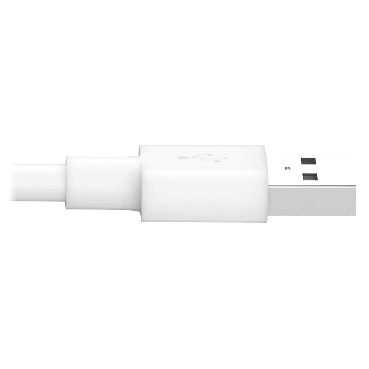 Tripp Lite Apple MFI Certified 10-Feet 3M Lightning to USB Cable Sync Charge iPhone/iPod/iPad - White (M100-010-WH)