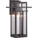 Progress Lighting Boxwood Collection 1-Light Clear Seeded Glass Craftsman Outdoor Large Wall Lantern Light Antique Bronze, 16.50x9.00x9.00