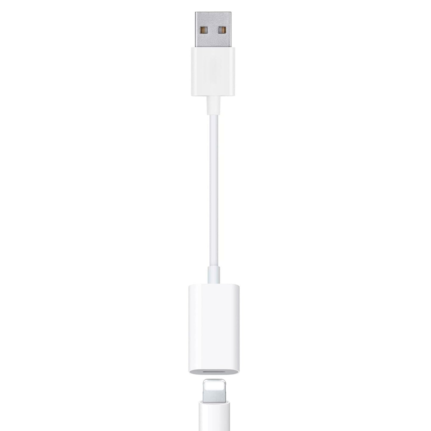 Fidioto USB Male to Lightning Female Audio Adapter Cable Type A to Lightning Dongle Converter Support Volume Control Mic Compatible with MacBook