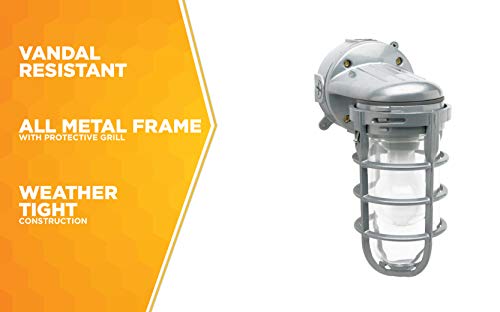 Woods L1707SV Traditional 150W Incandescent Weather Industrial Light, Wall Mount, Silver,Large