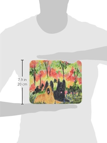 Caroline's Treasures SS8045MP Briard Mouse Pad, Hot Pad or Trivet for Home Office Gaming Working Computers Laptop Mouse Mat,Washable Large Mousepad