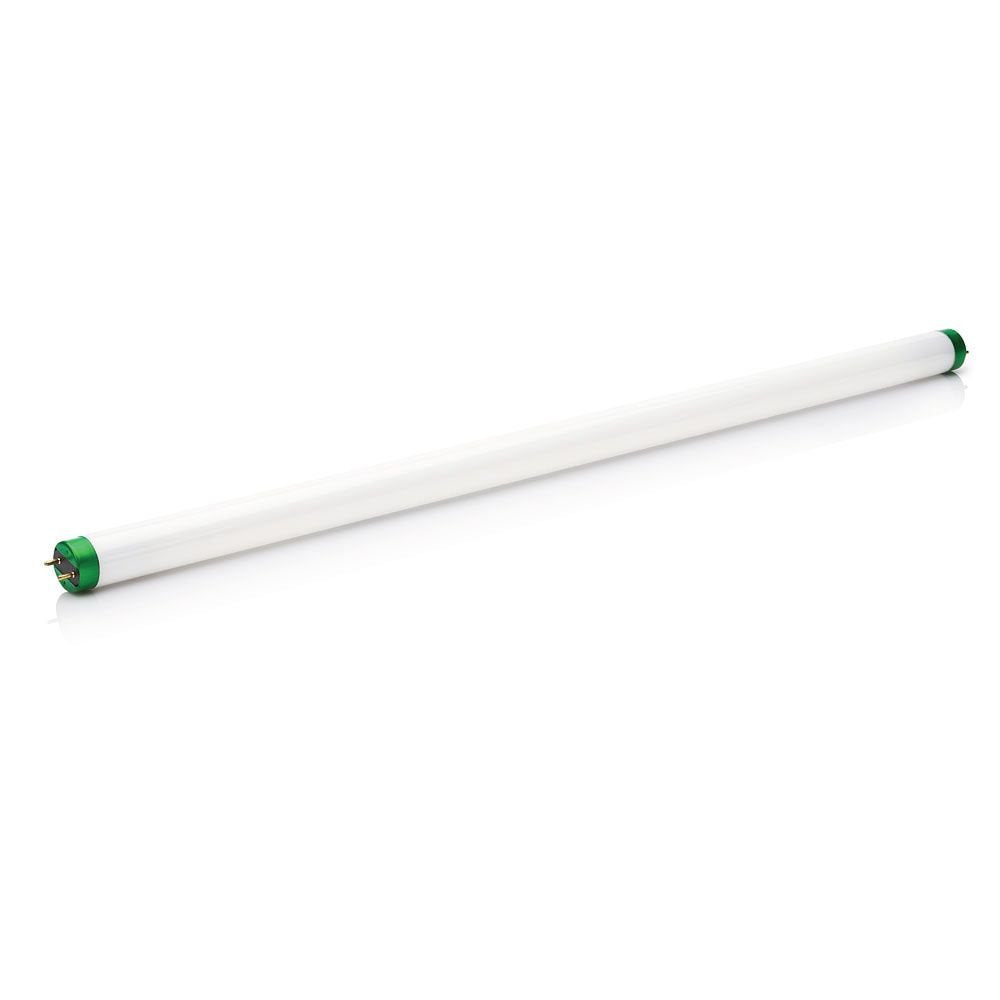 Philips 15W 24in T8 Cool White Fluorescent Tube