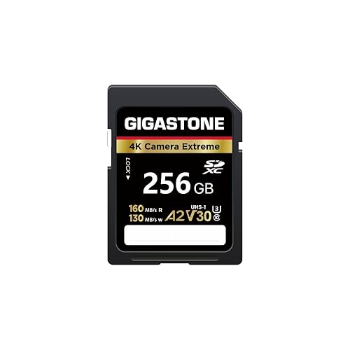 ?5-Years Data Recovery? GIGASTONE 256GB SD Card, 4K Camera Extreme, A2 V30 U3 C10 SDXC Memory Card High Speed, Compatible with Canon Kodak Olympus