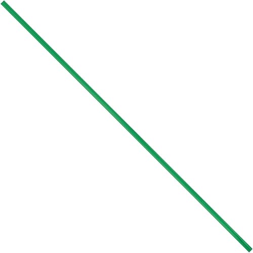 Aviditi Reusable Green Plastic Twist Ties, 12" Length, Use to Seal Bread, Gift, and Treat Bags or for Bundling Cables and Wires (Case of 2000)