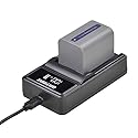 Batmax 1 Pack 1600MaH NP-FP70 Battery and LED Fast Charger for Sony NP-FP30,NP-FP50, NP-FP70, NP-FP90, NP-FP91 DCR-DVD92, DVD103, DVD202, DVD305