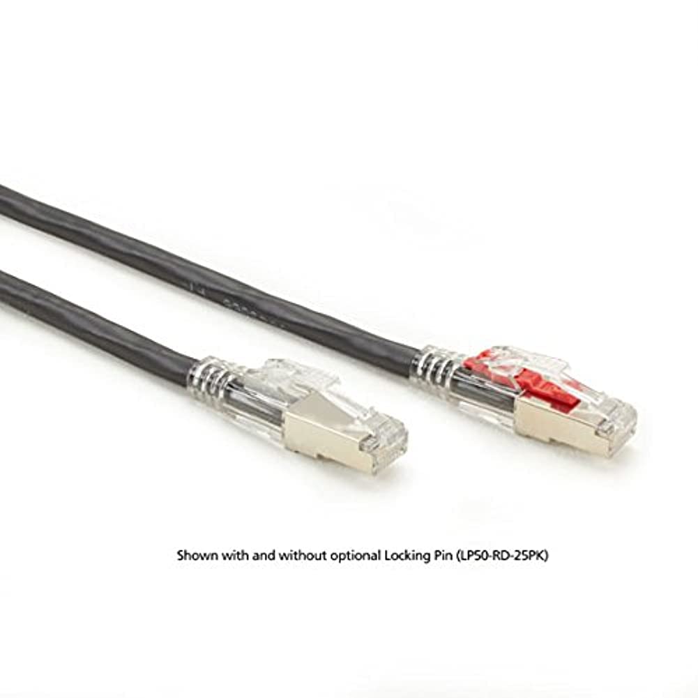 Black Box Gigatrue 3 Cat.6 Patch Network Cable - Category 6 for Network Device - Patch Cable - 20 F