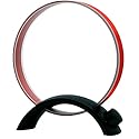 Tecsun AN-200 AM/MW Rotatable Tuneable Loop Gain Radio Antenna(No Battery Needed)