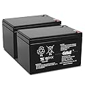 Casil 12V 12Ah Battery - Replacement for 6-DZM-12, APC, Scooter, and Medical Equipment (2-Pack) | High-Performance AGM Sealed Lead Acid Rechargeable…