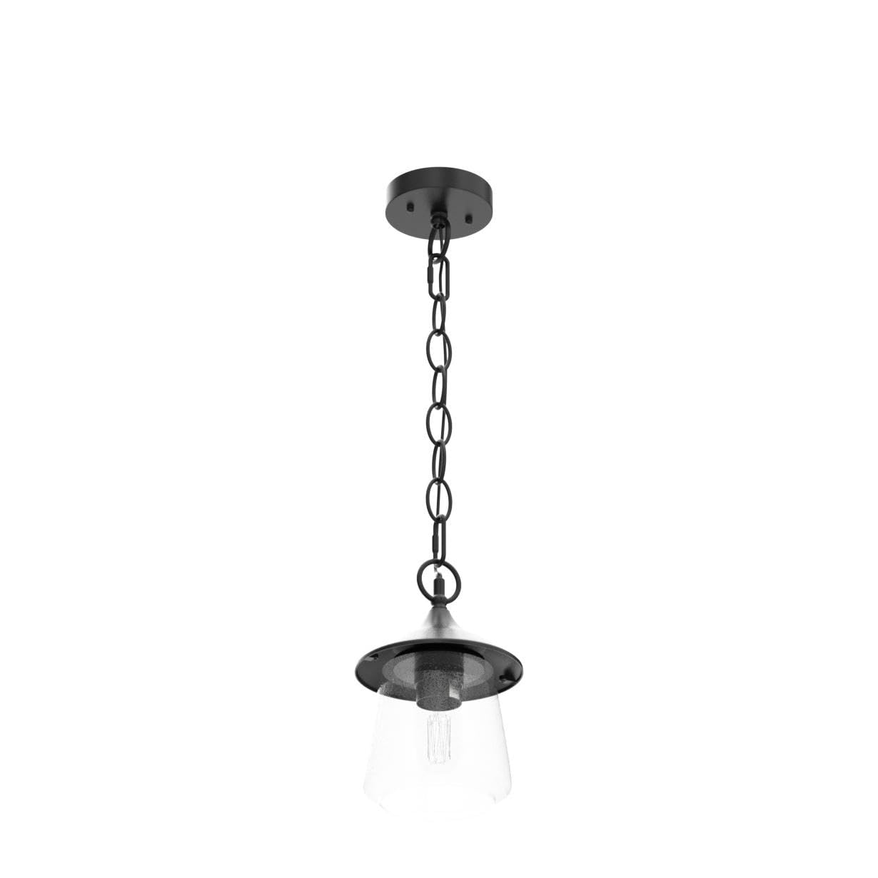 LOG BARN Outdoor Pendant Lights, Porch Fixture in Painted Black Metal with Clear Bubbled Glass Globe, Hanging Lantern Lamp for Gazebo, Entry, Yard