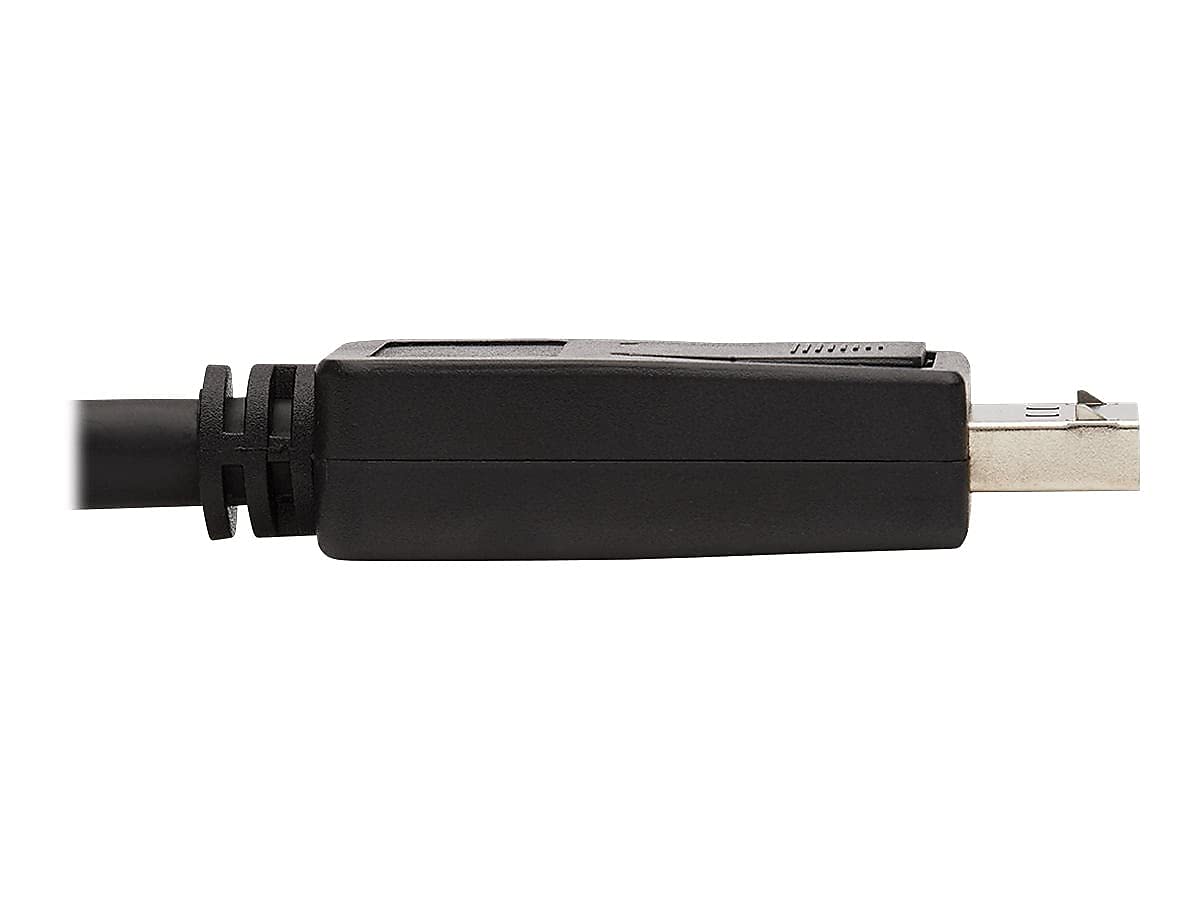 Tripp Lite DisplayPort to HDMI Adapter Active DP 1.2A to HDMI 2.0 M/15ft (P582-015-4K6AE)