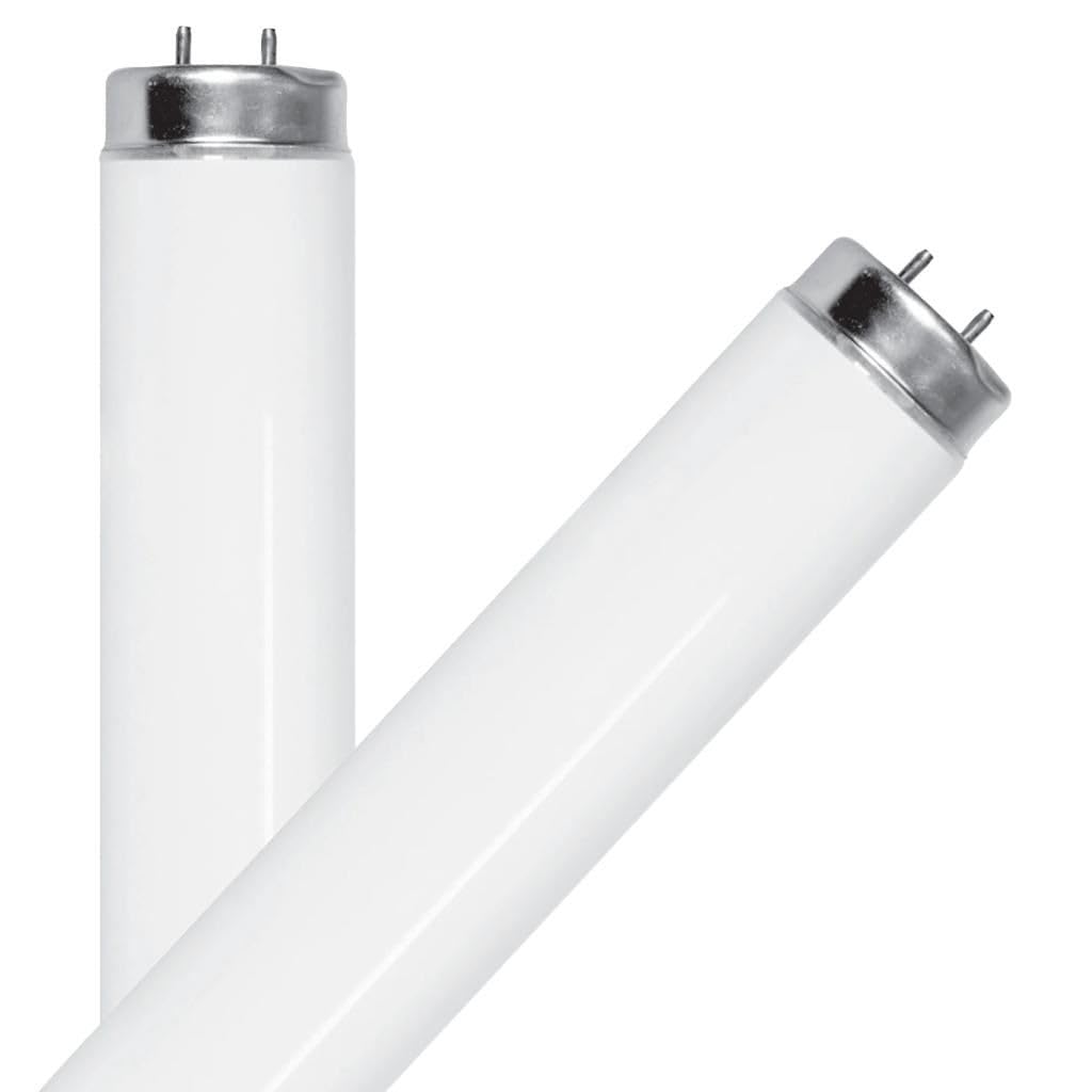 BULB FL T8 G13 48" WW32W