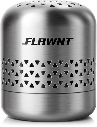 FLAWNT Fridge Deodorizer, Lasts Up to 10 Years, Stainless Steel, Gray