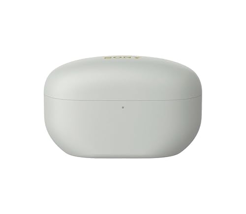Sony WF-1000XM5 Rechargeable Charging Case with Built-in Lithium-Ion Batteries for Charging Earbuds (Silver)