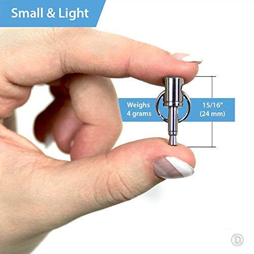 Dongle Dangler - Secure Headphone Jack Adapter Keychain (Chrome 2-Pack) for iPhone 17, 17e, 16, 15 (USB-C) & 14, 13 (Lightning) - Anti-Loss 3.5mm Aux