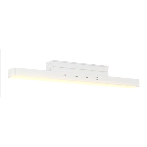 NEEWER Basics LED Chin Fill Lighting, 3W Bi Color Portable Desk Phone Selfie Photo Light, CRI90, 2200mAh Battery for TikTok Streaming Laptop Video