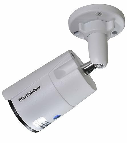 BlueFishCam Analog CCTV Camera Outdoor/Indoor Security SystemLong Angle Lens 8mm CMOS 1000TVL 36 LED Infrared Waterproof with IR-Cut Motion Detective