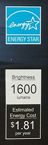 FEIT 100w LED Replacement Bulbs using 15W Daylight 5000K 1600 Lumens (10 Lamps)