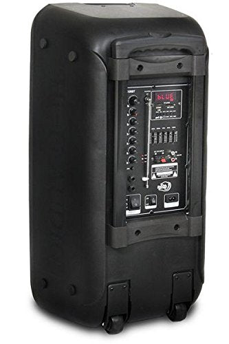 Dolphin Dual 10" Bluetooth Party Speaker - 1000W Big Speaker with 2 Wireless Microphones, Powerful Bass, Multicolor LED Lights, Tailgate Ready
