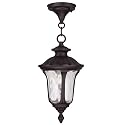 Livex Lighting 7849-07 Oxford 1-Light Outdoor Hanging Lantern, Bronze